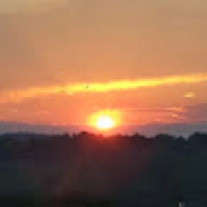 Meet your Posher, Pam